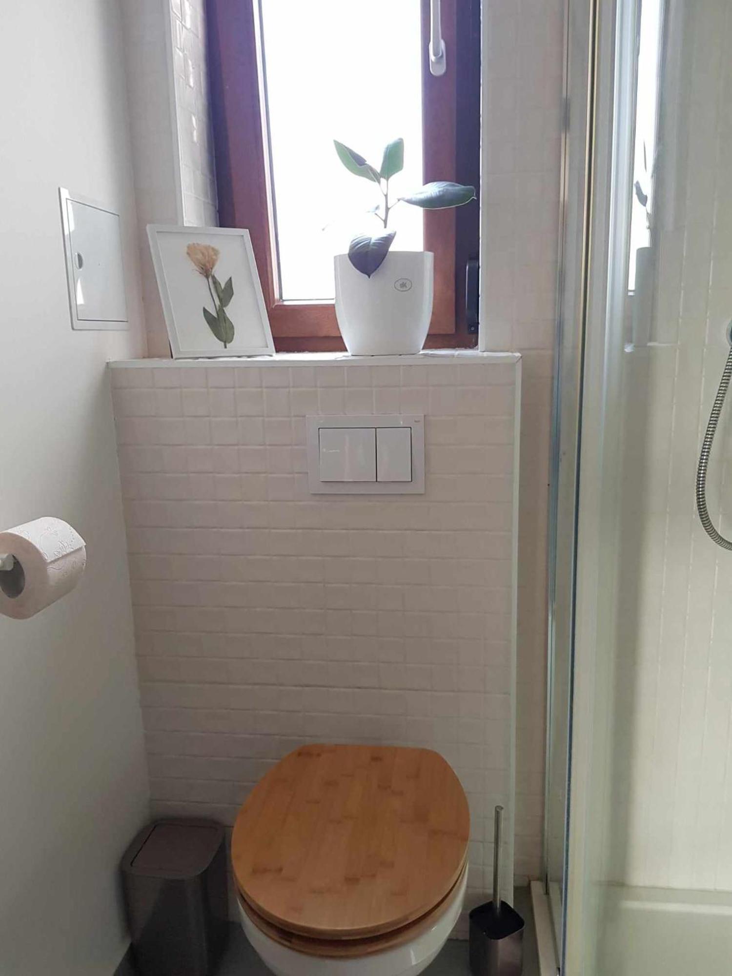 Balcescu Apartment Timişoara