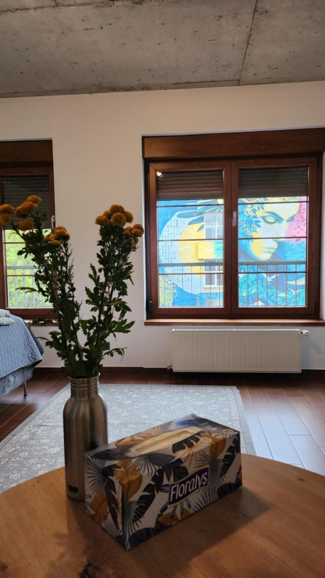 Balcescu Apartment Timişoara