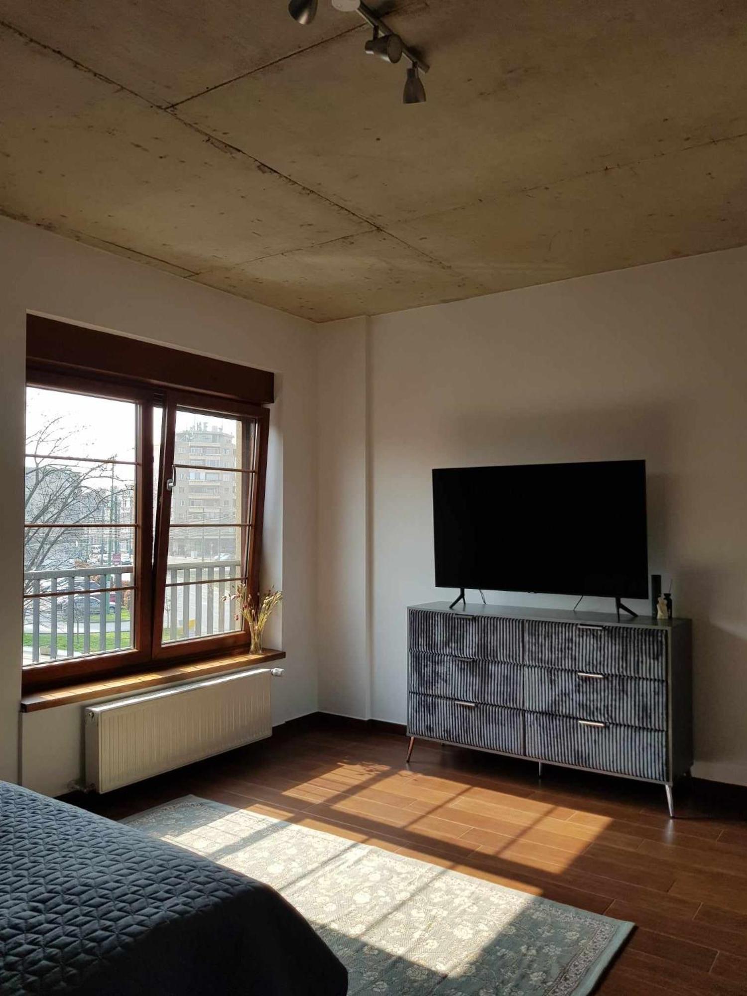 Balcescu Apartment Timisoara